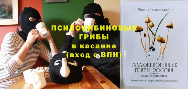 дмт Баксан